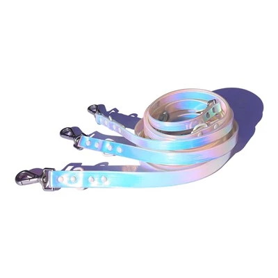 Dizaineris Rainbow PVC šunų antkaklis šunų pavadėliui